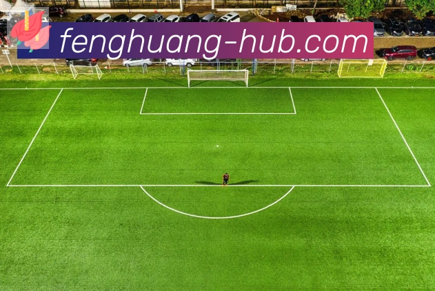 凤凰体育APP 封面图