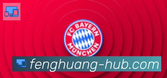 凤凰体育合作伙伴