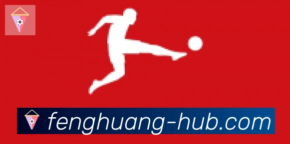 凤凰体育合作伙伴